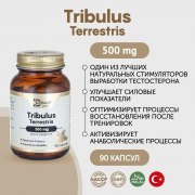 Заказать Debavit Tribulus 660 мг 90 капс